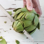 cutting fresh artichokes