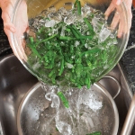 draining green beans in a colander