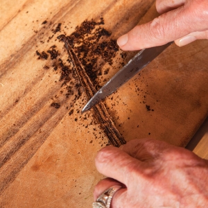scraping a vanilla bean