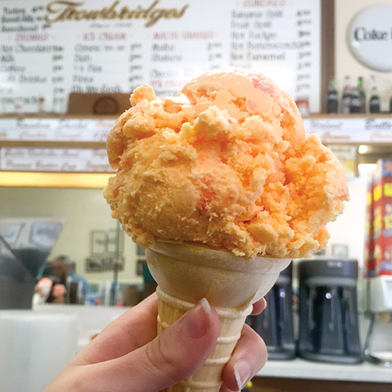 Discover the Soul of the Shoals